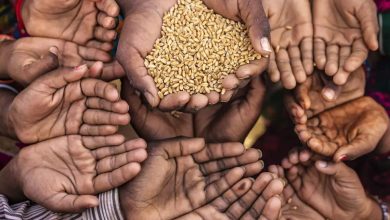 Additional Free Of Cost Foodgrains To Be Distributed To NFSA Beneficiaries UPSC