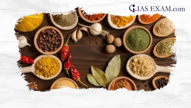 Indian Spices as Raw Material to Develop Nanomedicines to treat Cancer UPSC