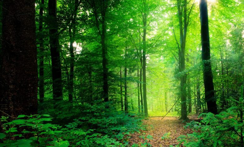 Forest Conservation (Amendment) Bill,2023 UPSC