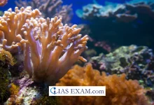 4th Global Coral Bleaching Event UPSC