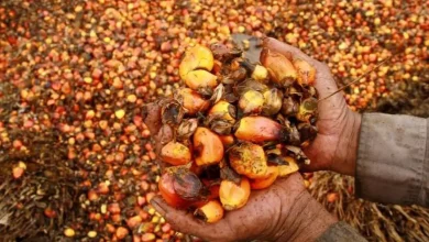 India’s Palm Oil Imports UPSC