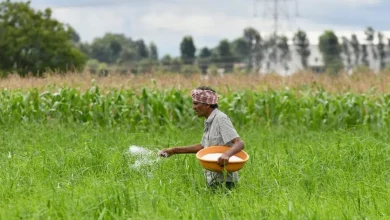 WTO Pressure on Farm Subsidies upsc