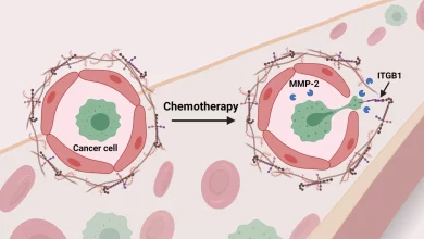 How do some cancer cells survive chemotherapy? UPSC