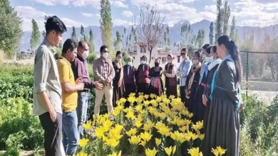 Aromatic Crops and Floriculture UPSC
