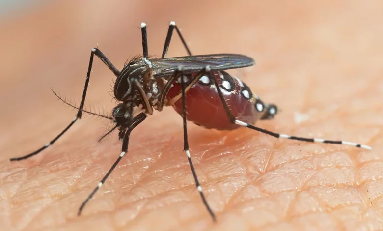 Zika Virus found in mosquitoes in Karnataka’s UPSC
