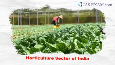 Horticulture Sector of India UPSC