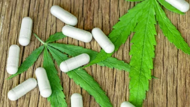 Cannabis and Antibiotic Resistance: A Promising Solution UPSC