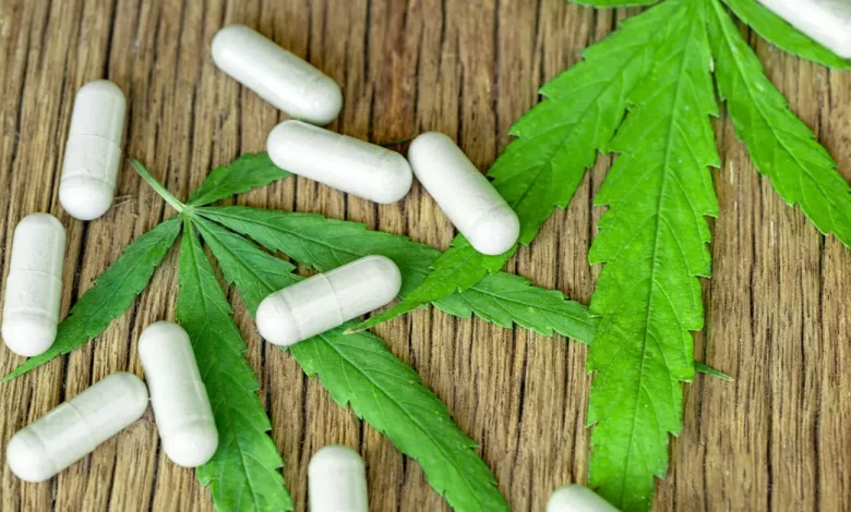 Cannabis and Antibiotic Resistance: A Promising Solution UPSC