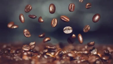 Arabica coffee has low genetic diversity UPSC