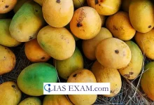 FSSAI Alerts Fruit Traders on Calcium Carbide Ban Compliance UPSC