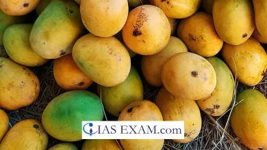 FSSAI Alerts Fruit Traders on Calcium Carbide Ban Compliance UPSC