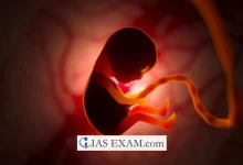 Foetus has rights to alive UPSC