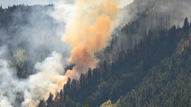 Forest fires and their management UPSC