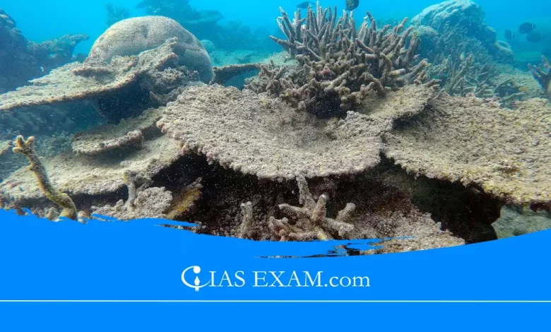 Fourth Mass Coral Reef Bleaching UPSC