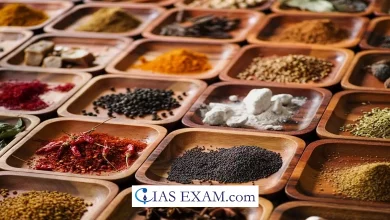Heat faced by Indian Spices in the world over UPSC