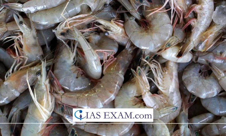 India refutes shrimp farm abuse allegations UPSC