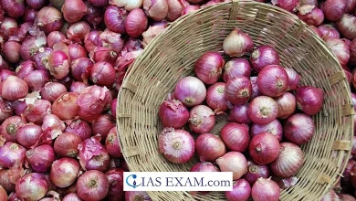 Traders lament underpriced onion exports to UAE UPSC
