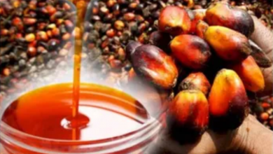 Indonesia’s palm oil crisis and its implications UPSC