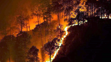 Massive Forest Fire erupts is Sariska Tiger Reserve UPSC